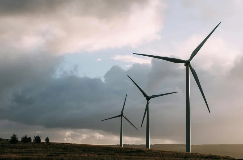 Enhancing Sustainability for a Green Tech Startup